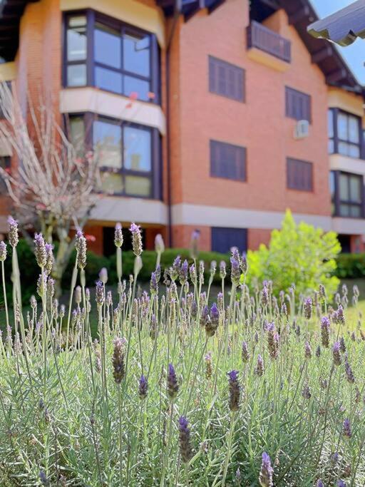 Aconchegante Apto 3 Dorm. Com Piscina Aquecida Gramado Bagian luar foto